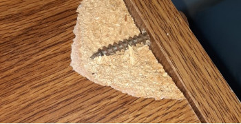 Thumbnail photo by Tillman Ward of Safe Ship Moving Services