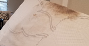 Thumbnail photo by Jennie Campisi of Transit Systems Inc