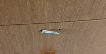 Thumbnail photo by Evelin Clabes of Carefree Movers Inc