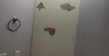 Second thumbnail photo by Robin Elizabeth Rowley of First National Van Lines