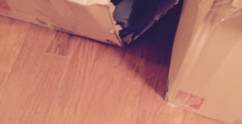 Thumbnail photo by N. Orange of East Coast Moving & Storage