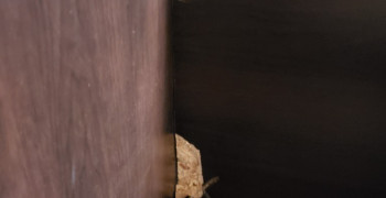 Thumbnail photo by Soumitra Biswas of North American Moving Experts LLC