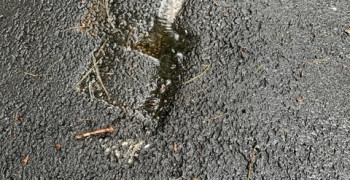 Thumbnail photo by Julia Bennett of PODS Moving and Storage