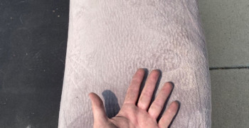 Thumbnail photo by Mandi Cragoe of Zippy Shell Incorporated