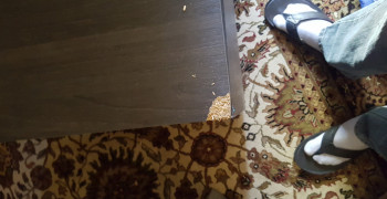 Second thumbnail photo by Caresha Taylor of Trans Van Lines