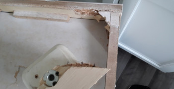 Thumbnail photo by Carol Grays of Pacific Coast Moving