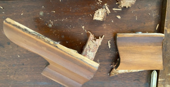 Thumbnail photo by Tricia Krueger of Safeway Moving Systems