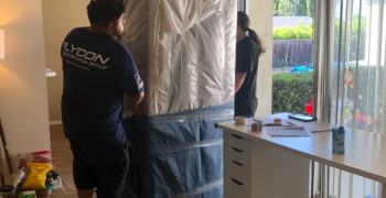 Thumbnail photo by Susan Xu of Transit Systems Inc