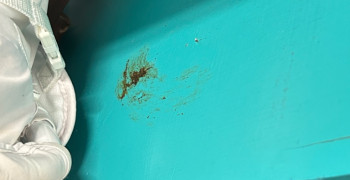 Thumbnail photo by Erik Nguyen of Muscular Moving Men