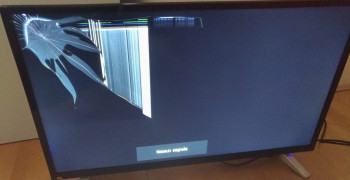 Thumbnail photo by Francesca of AnyVan