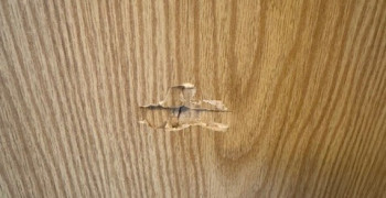 Thumbnail photo by Katherine Neubaum of Front Door Moving & Storage 