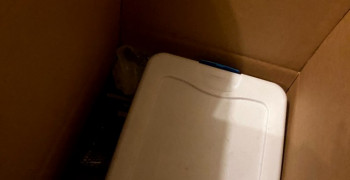 Thumbnail photo by Kayla Picciau of Trig Moving and Storage