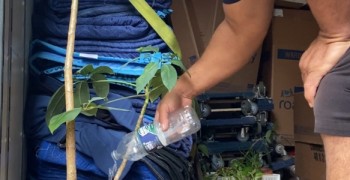 Second thumbnail photo by Zora Vredeveld of Roadway Moving