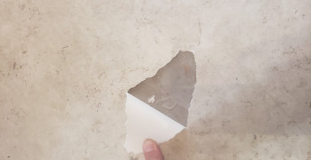 Thumbnail photo by Mi Len of Move Me Again Transportation