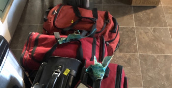 Thumbnail photo by Tammy Hayes of Enterprise Moving