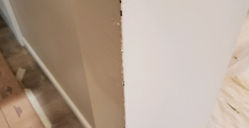 Second thumbnail photo by Georgette Garrido of Kenway Moving