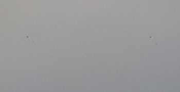 Thumbnail photo by Michael Tranter of CBD Movers AU