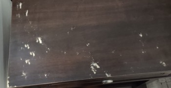 Second thumbnail photo by Virginia Dan of Next Stop Relocation