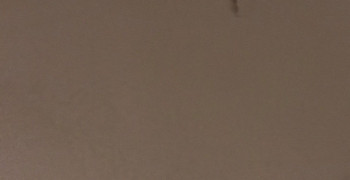 Second thumbnail photo by Hafeez Hassan of Dumbo Moving and Storage