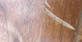 Thumbnail photo by Tari Yates of Atlantic Van Lines