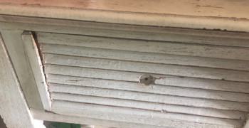 Thumbnail photo by Michele Mccann of Mega Van Lines