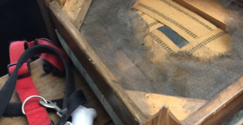 Thumbnail photo by Michael Gursky Jr of Route 66 Moving And Storage LLC