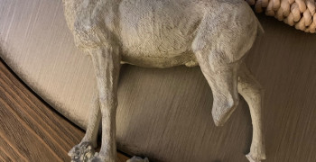 Second thumbnail photo by Layla Scott of Moving Relocation Systems