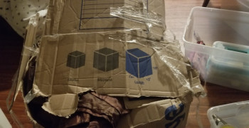 Thumbnail photo by Caroline M Njoroge of Top Country Moving