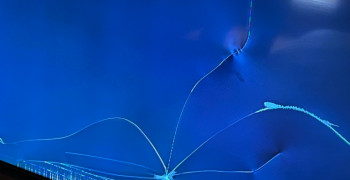 Second thumbnail photo by Mike Brumby of College Hunks Hauling Junk & Moving