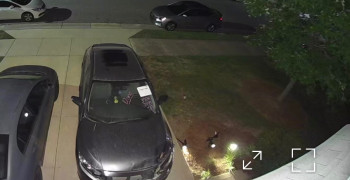 Second thumbnail photo by Dionis Troconis of Royal Auto Ship LLC