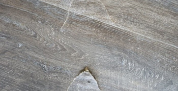 Second thumbnail photo by Theresa Campbell of All My Sons Moving and Storage