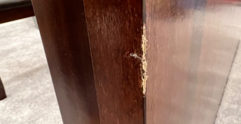 Thumbnail photo by Jagan Pandyan of Kenway Moving