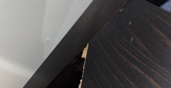 Thumbnail photo by Sneha Pawar of A. A. American Moving & Storage
