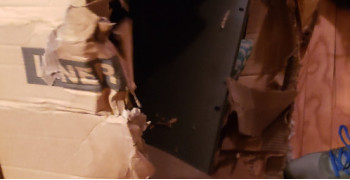 Second thumbnail photo by James Hollingsworth of Black Bear Moving & Storage
