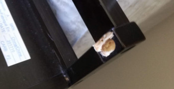 Second thumbnail photo by Khalid Munir of EZ Movers