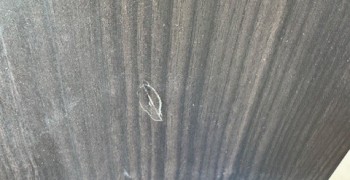 Second thumbnail photo by Karah Omta of 5 Diamond Moving and Storage Inc