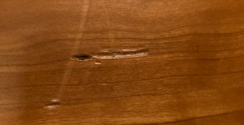 Thumbnail photo by Diana Bulman of Allegiance Moving and Storage LLC