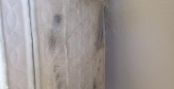 Thumbnail photo by Jane Smith of Atlantic Van Lines