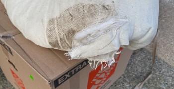 Thumbnail photo by Amanda Ianniello of Pegasus Vanlines 