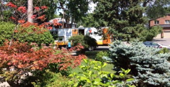 Thumbnail photo by Barbara Charbonneau of Smart Moving and Storage