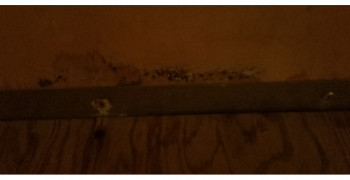 Thumbnail photo by Lori Harvey of PODS Moving and Storage