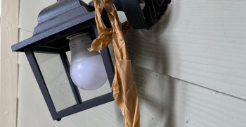 Second thumbnail photo by Kirstin Sammons of Priceline Logistics LLC