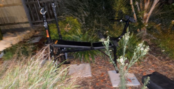 Thumbnail photo by Melyssa Fraser of CBD Movers AU