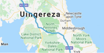 Thumbnail photo by Nazir Lugenga of AnyVan