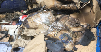 Second thumbnail photo by Diana Anderson of Adam's Moving