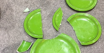 Second thumbnail photo by Kristy Elovaris of PSS International Removals