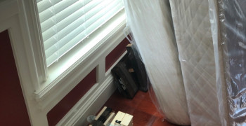 Second thumbnail photo by Daenisha Fernandez of Dumbo Moving and Storage