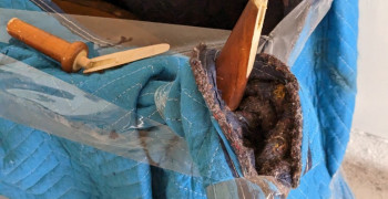 Second thumbnail photo by Evelin Clabes of Carefree Movers Inc