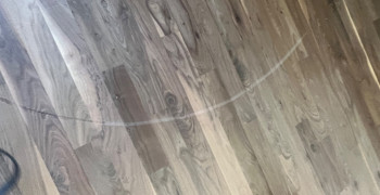 Thumbnail photo by Christina Douglas of All My Sons Moving and Storage