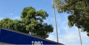 Thumbnail photo by Mackenzie Dudzik of Roadway Moving